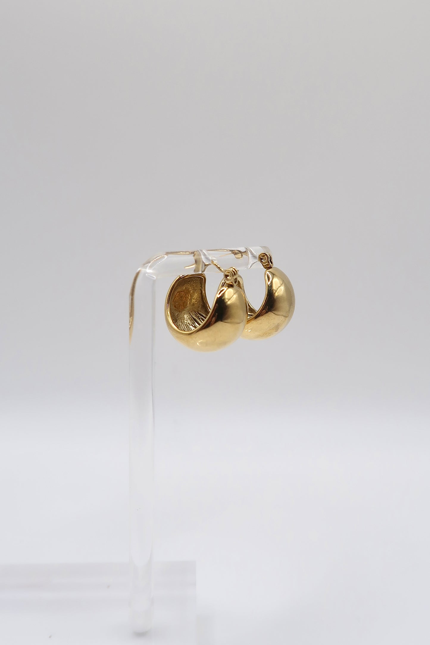Ariani Earrings