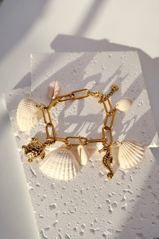 Costa Charm Bracelet